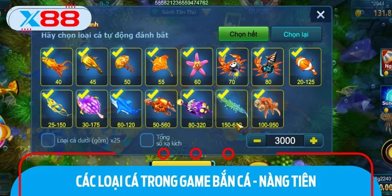 Nàng tiên có hệ số thưởng lên đến x500