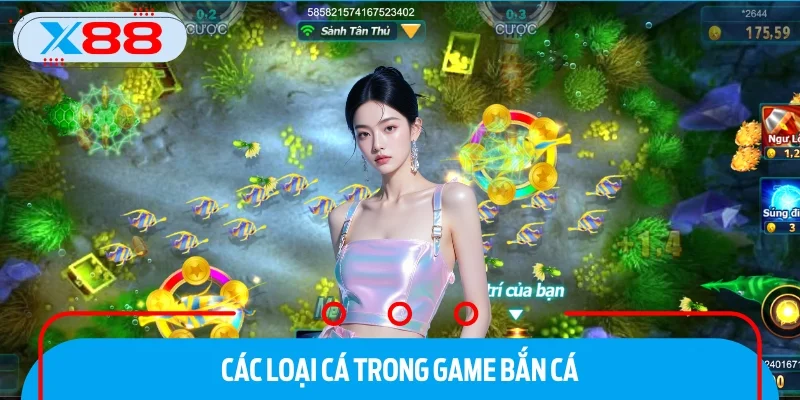 Săn boss là niềm mơ ước của nhiều hội viên